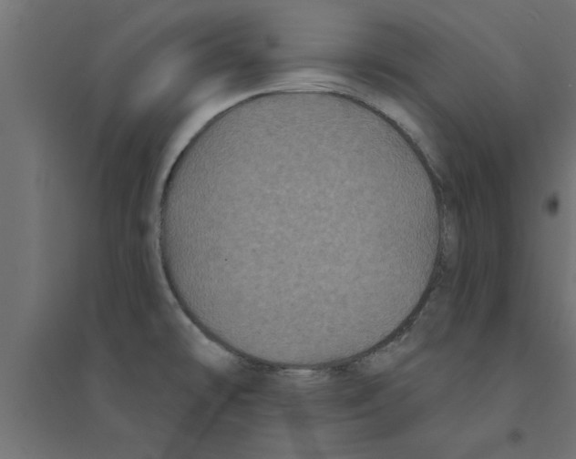 X0000094231478200711241733
