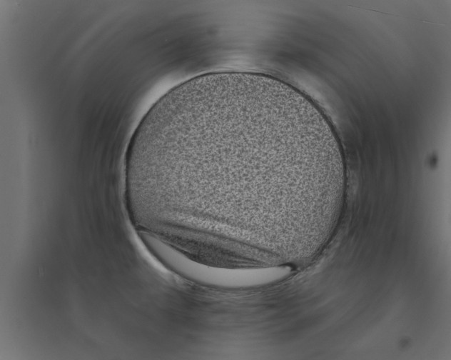 X0000094231479200711241733