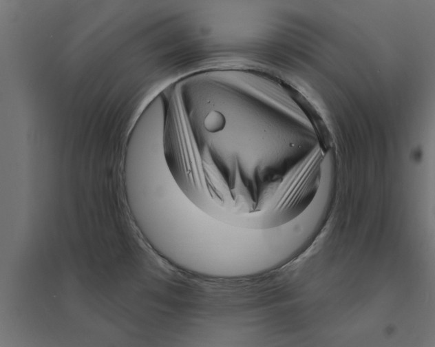 X0000094231481200711241733