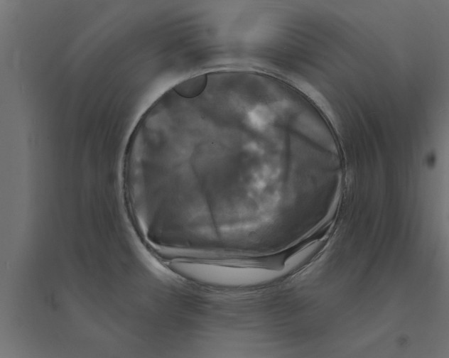 X0000094231482200711241733