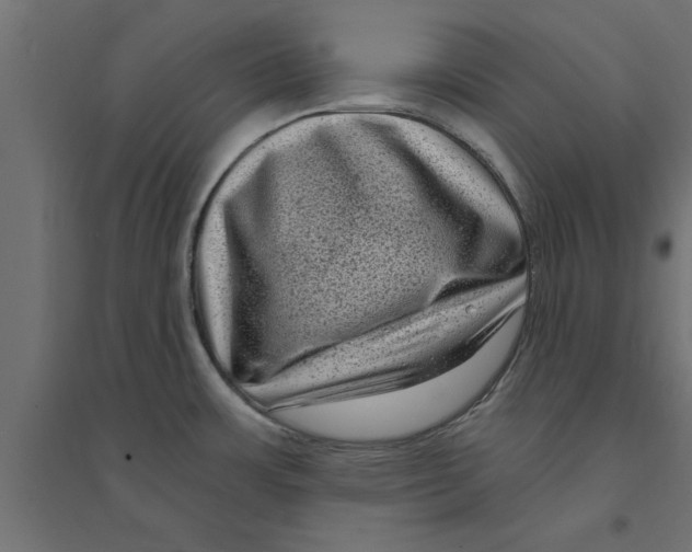 X0000094231483200711241733