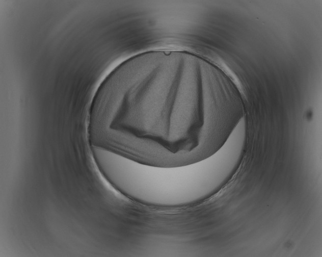 X0000094231484200711241733