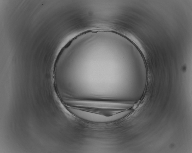 X0000094231485200711241733