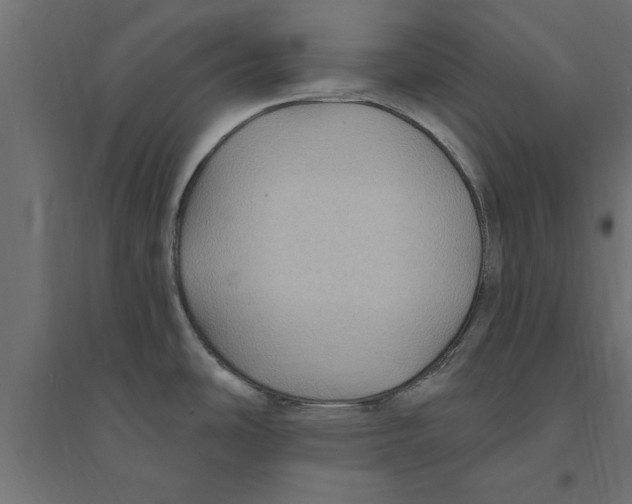 X0000094231486200711241733