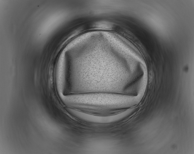 X0000094231487200711241733
