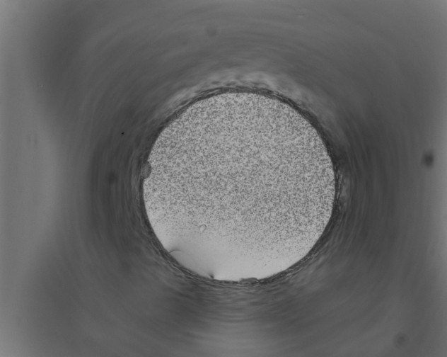 X0000094231489200711241733