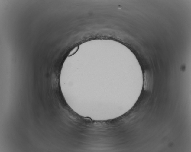 X0000094231491200711241733
