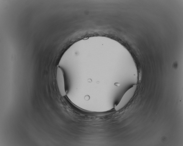 X0000094231492200711241733
