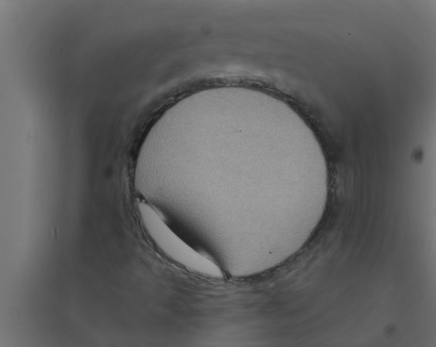 X0000094231493200711241733