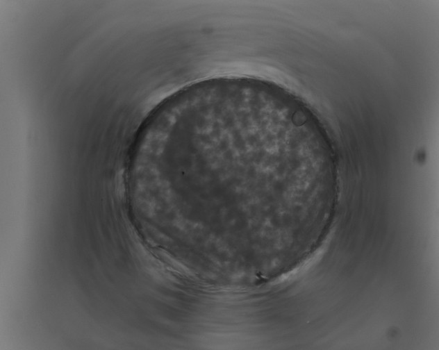 X0000094231497200711241733