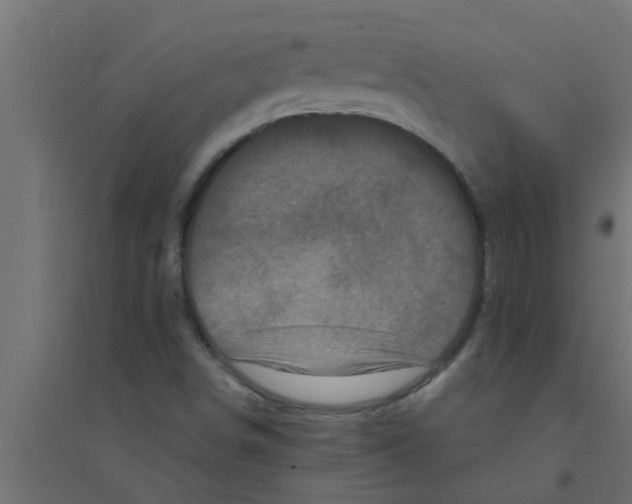 X0000094231498200711241733
