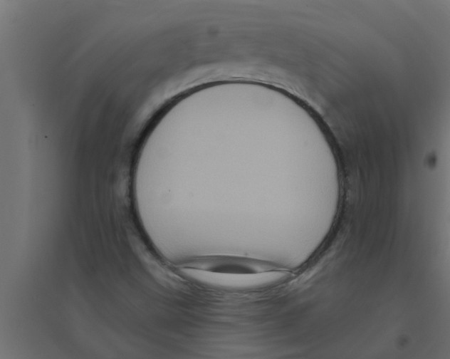 X0000094231499200711241733