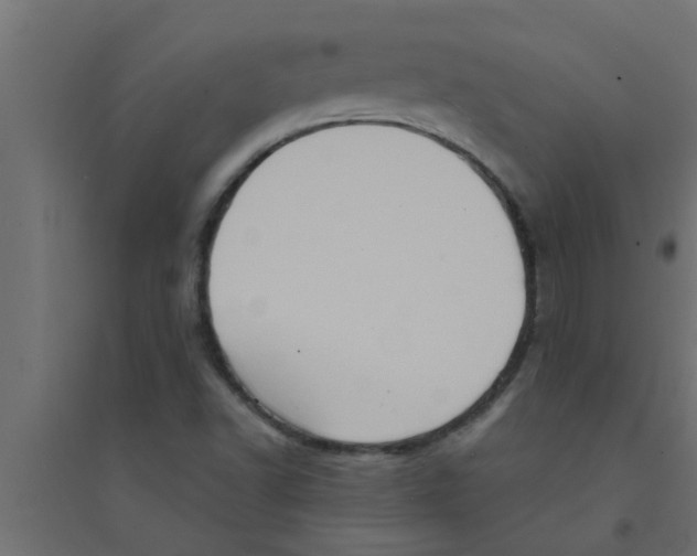 X0000094231502200711241733