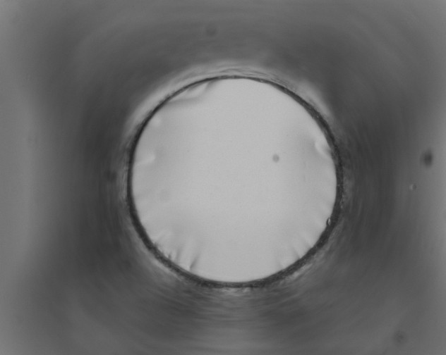X0000094231504200711241733