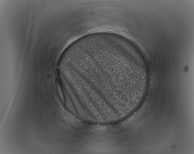 X0000094231505200711241733