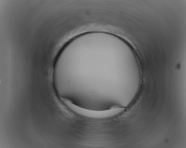 X0000094231507200711241733
