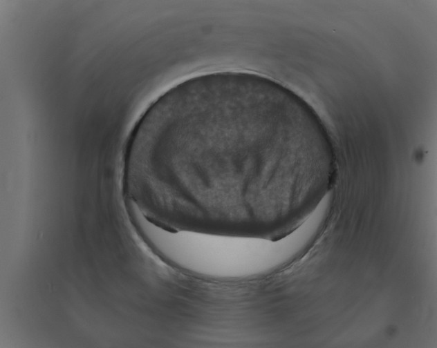 X0000094231508200711241733