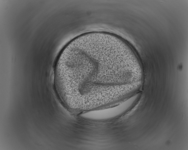 X0000094231509200711241733