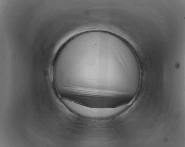 X0000094231510200711241733