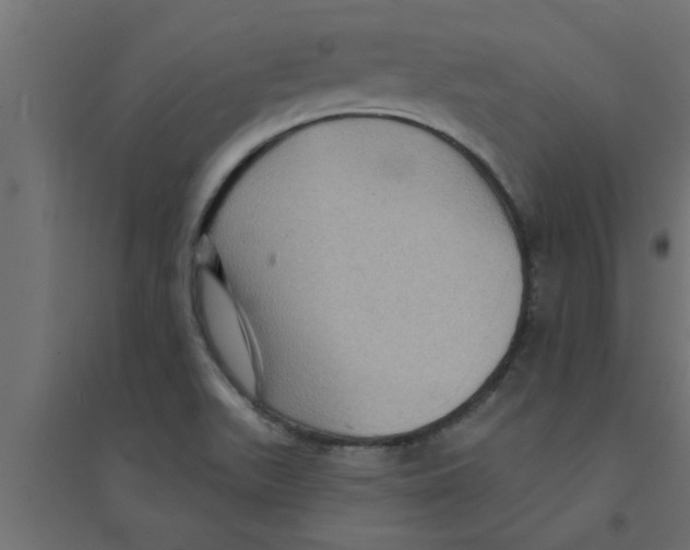 X0000094231511200711241733