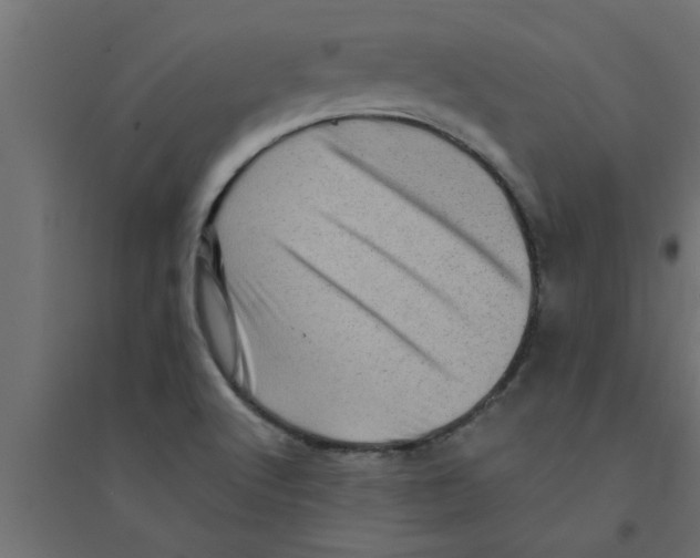 X0000094231512200711241733