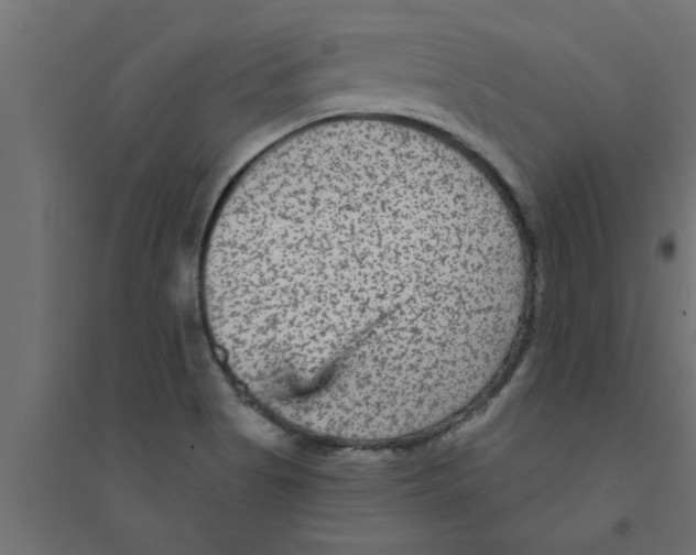 X0000094231513200711241733