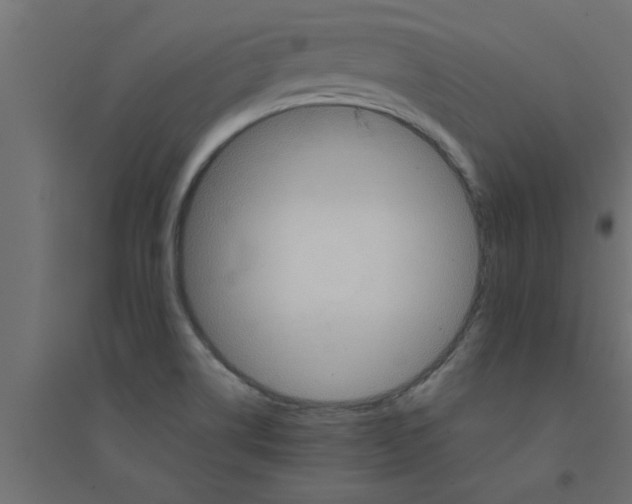 X0000094231514200711241733