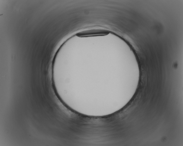 X0000094231516200711241733