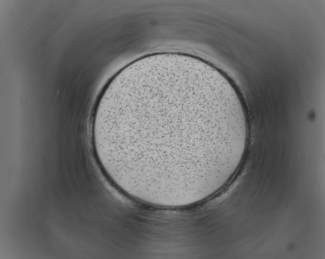 X0000094231517200711241733