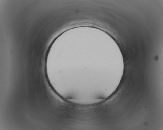 X0000094231518200711241733