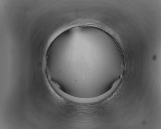 X0000094231520200711241733