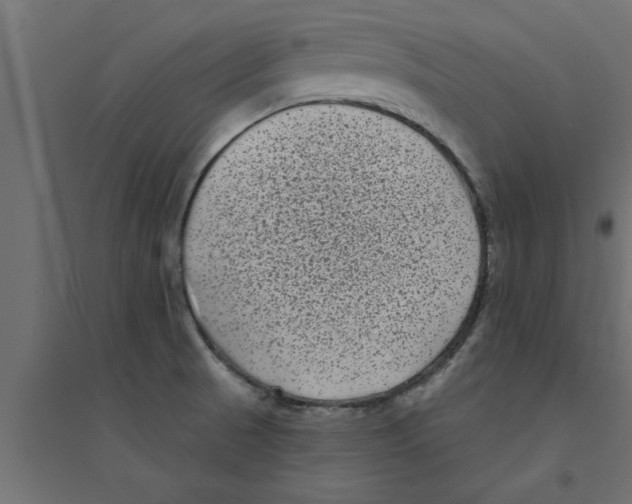 X0000094231521200711241733