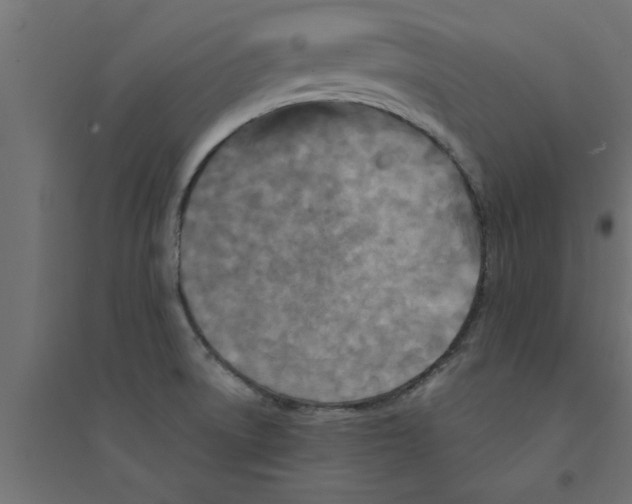 X0000094231522200711241733
