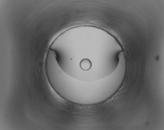 X0000094231524200711241733