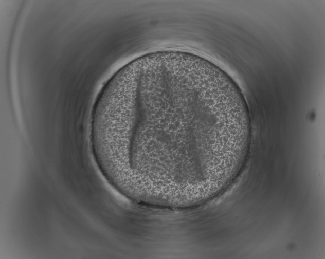 X0000094231525200711241733