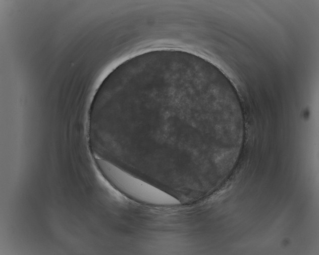 X0000094231527200711241733