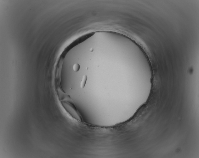 X0000094231528200711241733