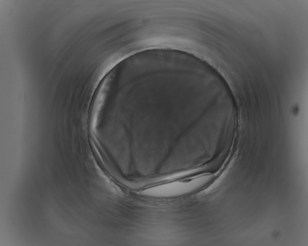 X0000094231529200711241733