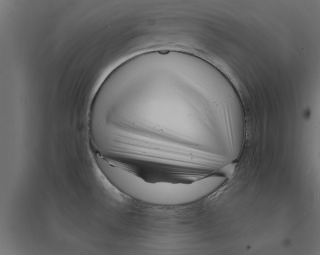 X0000094231532200711241733