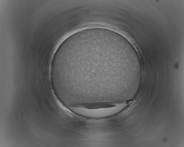 X0000094231535200711241733