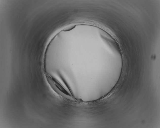 X0000094231536200711241733