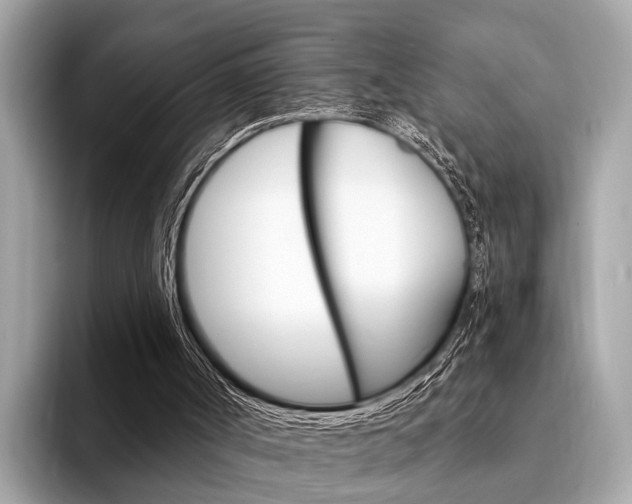 X0000094320002200711021121