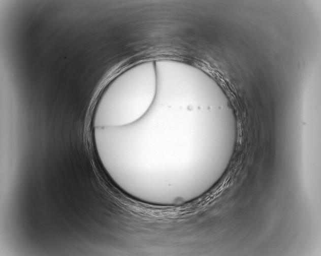 X0000094320004200711021121