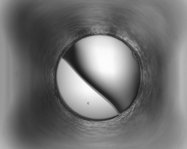X0000094320009200711021121