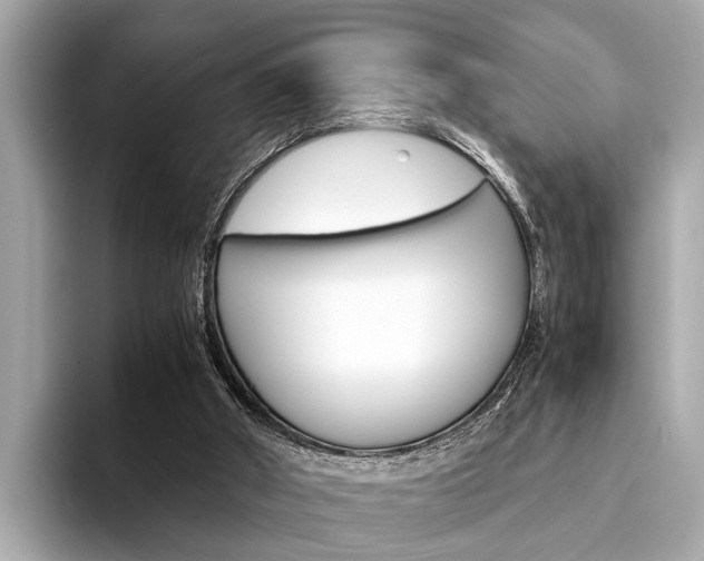 X0000094320010200711021121