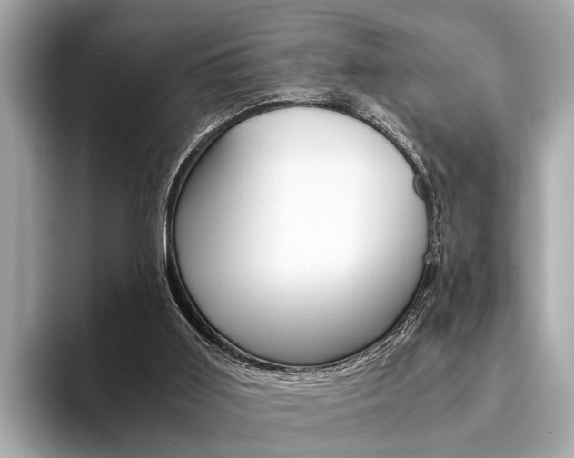 X0000094320011200711021121