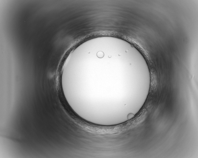 X0000094320016200711021121