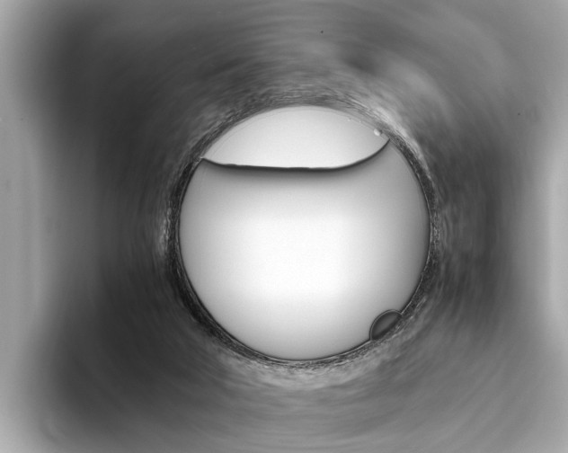 X0000094320018200711021121