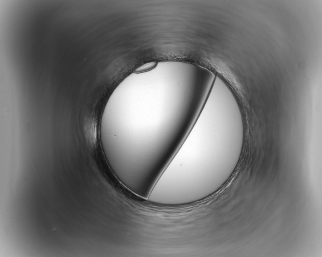 X0000094320021200711021121
