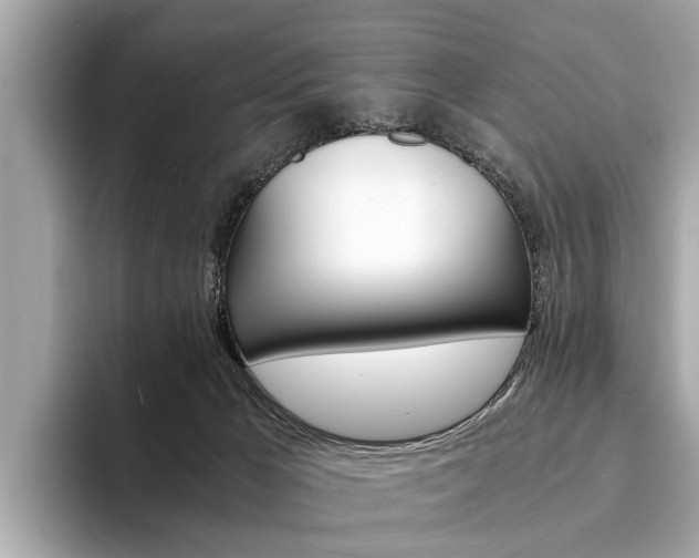 X0000094320029200711021121